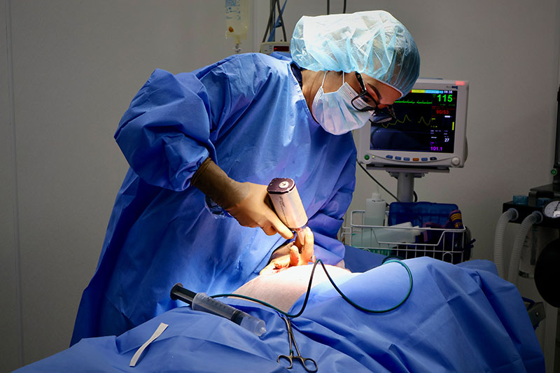 How to Request our Specialty Surgeon