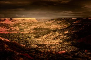 Veterinary Internal Medicine Specialist in Amarillo, TX